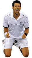 Novak Djokovic: Wimbledon Champion
